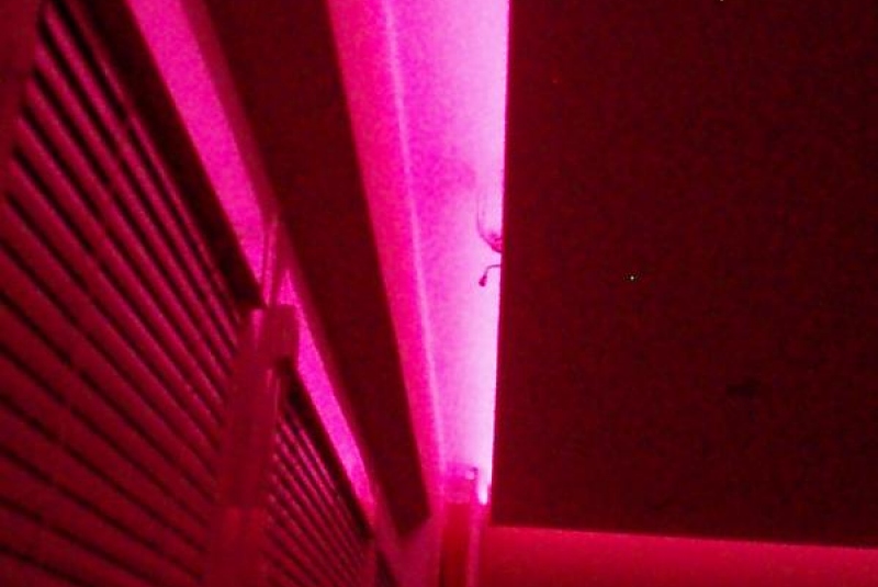 LED stropy